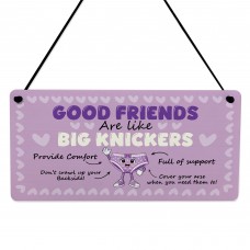 Funny Best Friend Gift for Women Friendship Gifts Acrylic Plaque