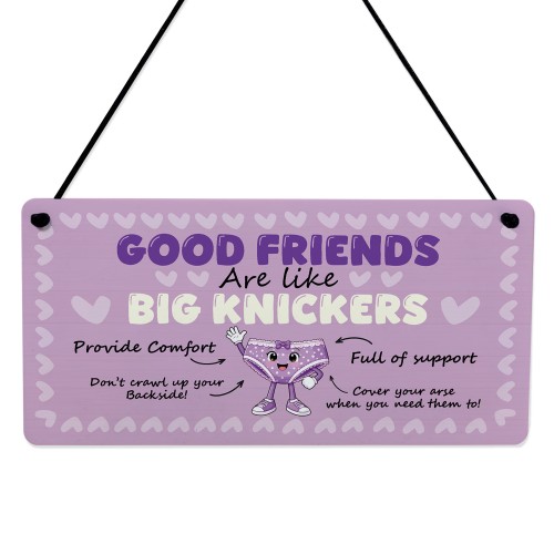 Funny Best Friend Gift for Women Friendship Gifts Acrylic Plaque