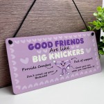 Funny Best Friend Gift for Women Friendship Gifts Acrylic Plaque