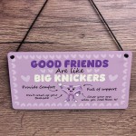 Funny Best Friend Gift for Women Friendship Gifts Acrylic Plaque