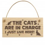 Funny Cat Gift For Cat Lovers Wooden Engraved Plaque Funny Cat Gift For Cat Lovers Wooden Engraved Plaque
