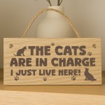 Funny Cat Gift For Cat Lovers Wooden Engraved Plaque Funny Cat Gift For Cat Lovers Wooden Engraved Plaque