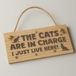 Funny Cat Gift For Cat Lovers Wooden Engraved Plaque Funny Cat Gift For Cat Lovers Wooden Engraved Plaque