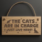 Funny Cat Gift For Cat Lovers Wooden Engraved Plaque Funny Cat Gift For Cat Lovers Wooden Engraved Plaque
