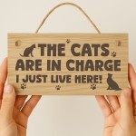 Funny Cat Gift For Cat Lovers Wooden Engraved Plaque Funny Cat Gift For Cat Lovers Wooden Engraved Plaque