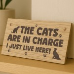 Funny Cat Gift For Cat Lovers Wooden Engraved Plaque Funny Cat Gift For Cat Lovers Wooden Engraved Plaque