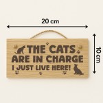 Funny Cat Gift For Cat Lovers Wooden Engraved Plaque Funny Cat Gift For Cat Lovers Wooden Engraved Plaque