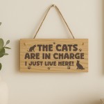 Funny Cat Gift For Cat Lovers Wooden Engraved Plaque Funny Cat Gift For Cat Lovers Wooden Engraved Plaque
