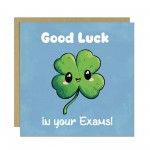 Good Luck In Your Exams A Levels GCSEs For Son Daughter Good Luck In Your Exams A Levels GCSEs For Son Daughter