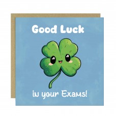 Good Luck In Your Exams A Levels GCSEs For Son Daughter