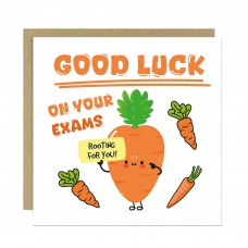 Good Luck In Your Exams A Levels GCSEs Card For Son Daughter