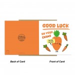 Good Luck In Your Exams A Levels GCSEs Card For Son Daughter Good Luck In Your Exams A Levels GCSEs Card For Son Daughter