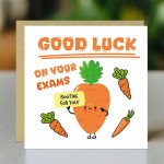 Good Luck In Your Exams A Levels GCSEs Card For Son Daughter Good Luck In Your Exams A Levels GCSEs Card For Son Daughter