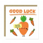 Good Luck Card For GCSE A Levels Exams Interview New Job Driving Good Luck Card For GCSE A Levels Exams Interview New Job Driving