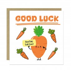 Good Luck Card For GCSE A Levels Exams Interview New Job Driving