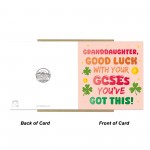 Good Luck GCSEs Card For Granddaughter You've Got This Card
