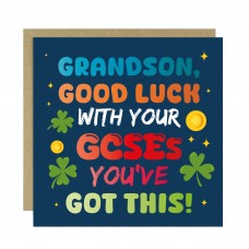 Good Luck GCSEs Card For Son You've Got This Card