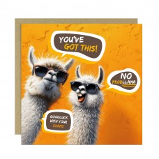 Good Luck Card For Your Exams GCSEs A Levels No Probllama