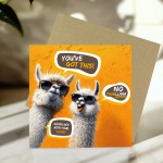 Good Luck Card For Your Exams GCSEs A Levels No Probllama Good Luck Card For Your Exams GCSEs A Levels No Probllama