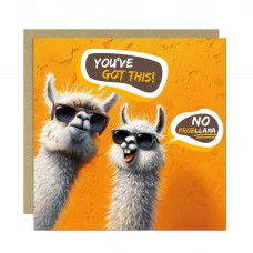 Good Luck Card For Your Exams New Job Interview No Probllama