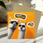 Good Luck Card For Your Exams New Job Interview No Probllama Good Luck Card For Your Exams New Job Interview No Probllama