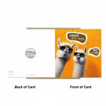 Good Luck Card For Your Exams New Job Interview No Probllama Good Luck Card For Your Exams New Job Interview No Probllama