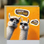Good Luck Card For Your Exams New Job Interview No Probllama Good Luck Card For Your Exams New Job Interview No Probllama