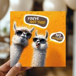 Good Luck Card For Your Exams New Job Interview No Probllama Good Luck Card For Your Exams New Job Interview No Probllama
