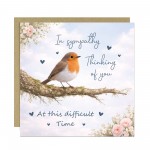 Sympathy Cards Pack of 6 Robin Memorial Condolences Cards