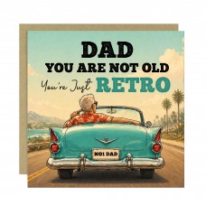 Hilarious Dad Birthday Card Funny Cheeky Fathers Day Card