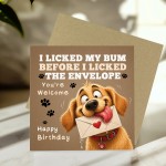 Funny Birthday Card From The Dog Amusing Birthday Cards Funny Birthday Card From The Dog Amusing Birthday Cards