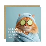 Grandad Card For Birthday Relax Grandad Its Your Birthday Card