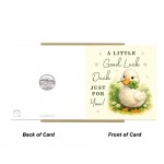 Good Luck Duck Card Retirement Leaving Farewell New Job Exams Good Luck Duck Card Retirement Leaving Farewell New Job Exams