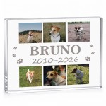 Personalised Pet Memorial Plaque Dog Cat Remembrance Gift Photo 
