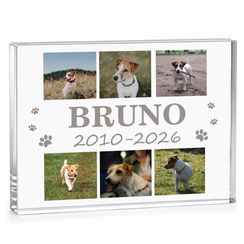 Personalised Pet Memorial Plaque Dog Cat Remembrance Gift Photo 