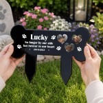 Personalised Dog Memorial Plaques With 3 Photos Grave Stake Personalised Dog Memorial Plaques With 3 Photos Grave Stake