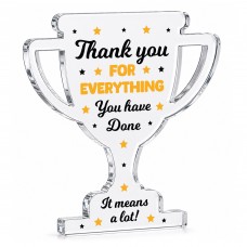 Appreciation Thank You Gift Acrylic Trophy Plaque For Teacher