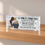 Best Friend Gift for Her Friendship Acrylic Plaque Bestie Gift Best Friend Gift for Her Friendship Acrylic Plaque Bestie Gift