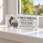 Best Friend Gift for Her Friendship Acrylic Plaque Bestie Gift Best Friend Gift for Her Friendship Acrylic Plaque Bestie Gift