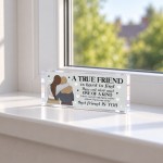 Best Friend Gift for Her Friendship Acrylic Plaque Bestie Gift Best Friend Gift for Her Friendship Acrylic Plaque Bestie Gift