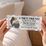 Best Friend Gift for Her Friendship Acrylic Plaque Bestie Gift Best Friend Gift for Her Friendship Acrylic Plaque Bestie Gift