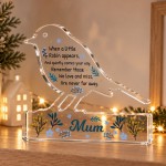 Personalised Robin Memorial Gift Acrylic Remembrance Plaque Personalised Robin Memorial Gift Acrylic Remembrance Plaque