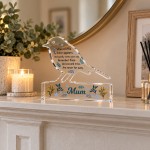 Personalised Robin Memorial Gift Acrylic Remembrance Plaque Personalised Robin Memorial Gift Acrylic Remembrance Plaque