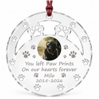 Personalised Pet Memorial Christmas Bauble with Photo Dog Cat