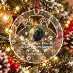 Personalised Pet Memorial Christmas Bauble with Photo Dog Cat