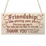 Freindship Funny Poem Wooden Plaque Gift