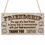 Friendship Best Friends Face Plaque Hanging Sign Gift