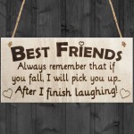 Best Friends I Will Pick You Up When I Finish Laughing! Plaque