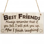 Best Friends I Will Pick You Up When I Finish Laughing! Plaque