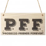 Prosecco Friends Forever Novelty Hanging Wooden Plaque
